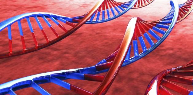 Single gene affected by mutation can be linked to a lower cholesterol levels, Study