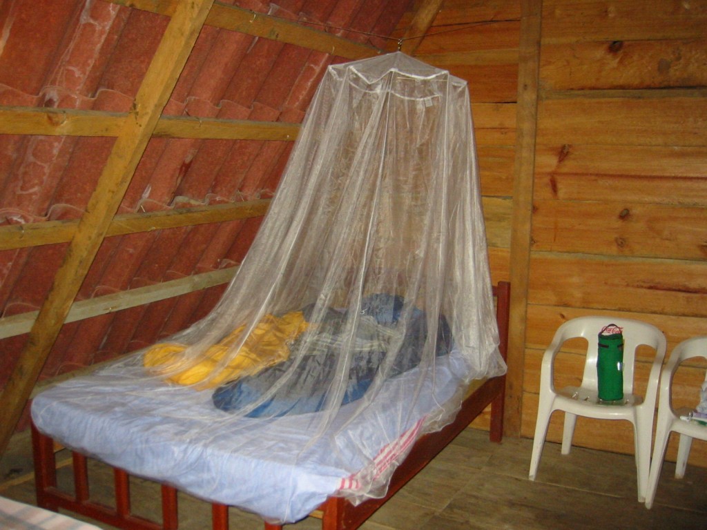 New breed of mosquito develops resistance against treated Bed Nets