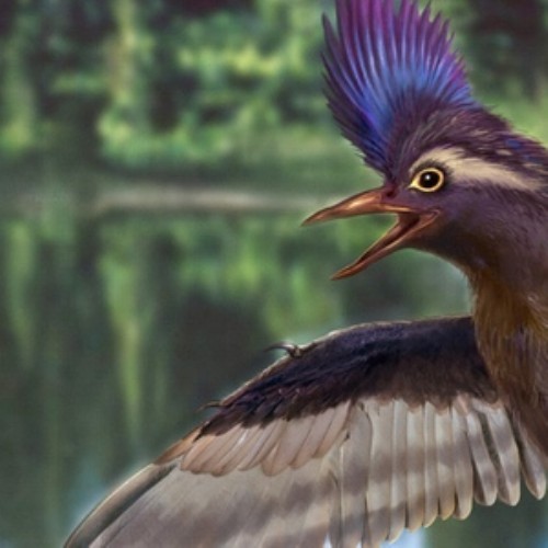 Archaeornithura meemannae the oldest birds ancestors