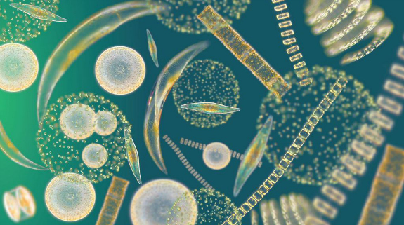 microscopic ocean depths