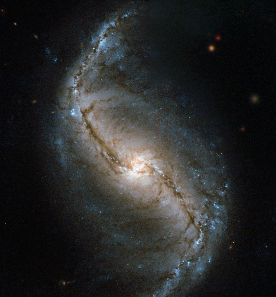 "hubble telescope spots galaxy ngc 6503"