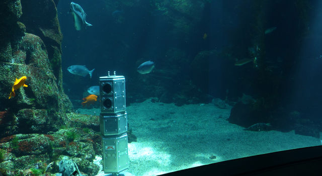 NASA Tests Underwater Robot