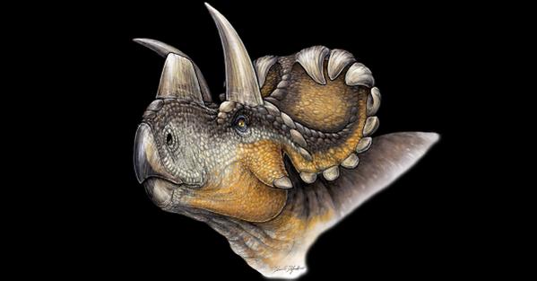 Extravagant Wendiceratops