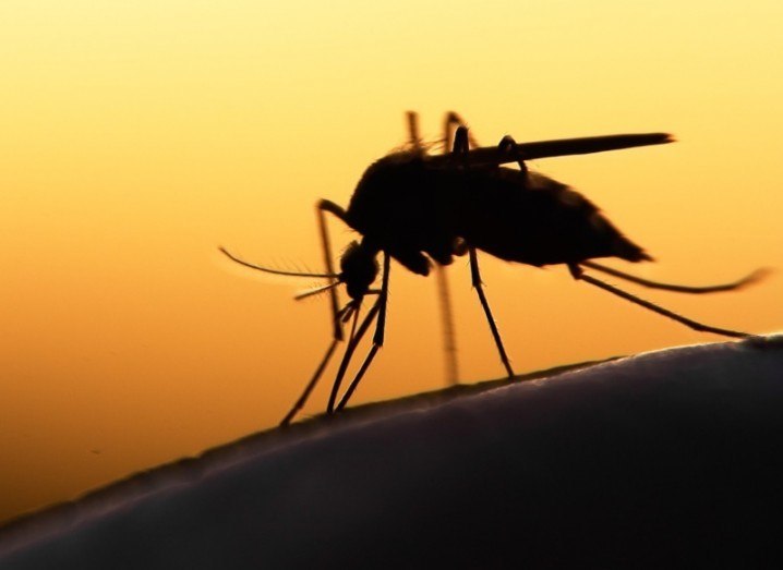 "malaria death africa vaccine mosquito"