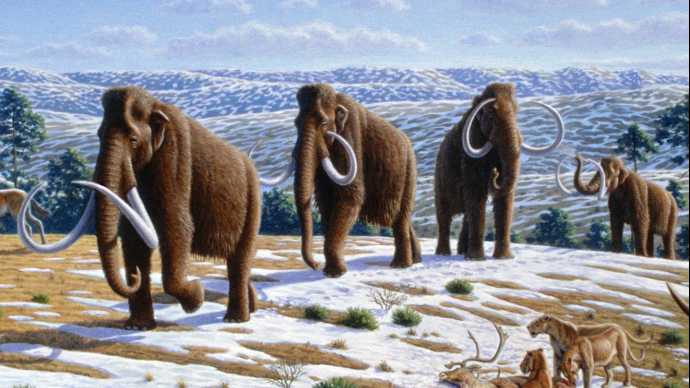 "mammoth extinction man climate change"