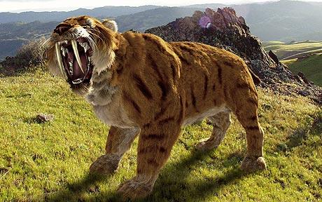 "Saber-Toothed Cat biting"