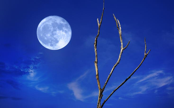 "blue moon sky"