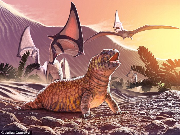 Ancient Lizard Fossil Explains Lizard Evolution