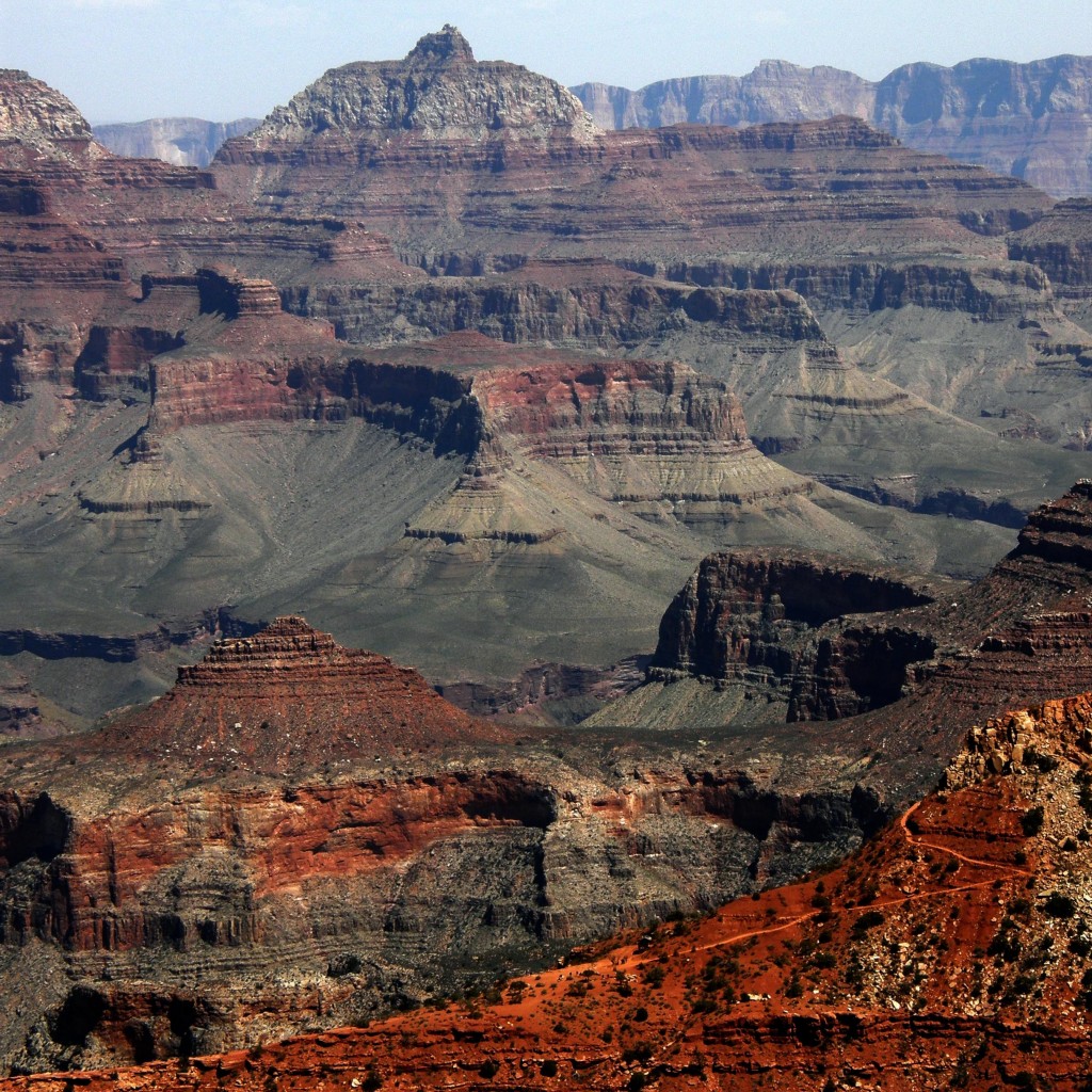 "Grand Canyon Flora, Fauna Are Contaminated with Mercury"