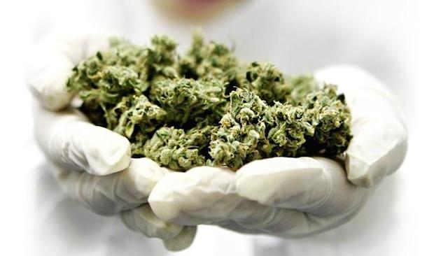 "medical marijuana oil rejected in michigan"
