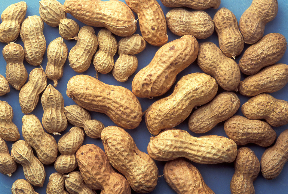 Nut Allergies May Be Going Extinct