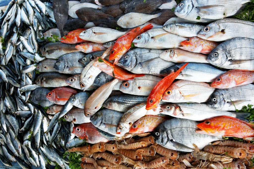 "25% of fish on markets are contaminated"