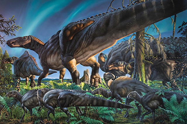 Arctic Dinosaur Discovered In Alaska