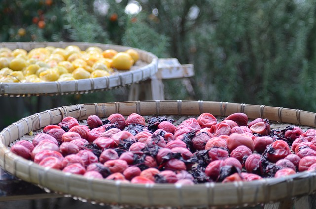 Dried Plums May Protect Against Colon Cancer