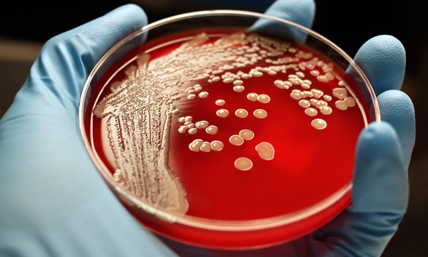 "resistance to antibiotics is becoming a graver issue"