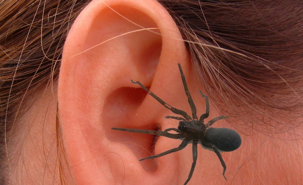 "spider in a woman's ear in china after scratching noises"