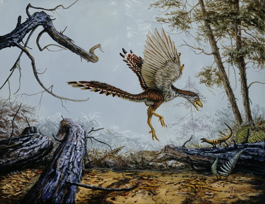 "fossilized wing reveals whether ancient birds could fly"