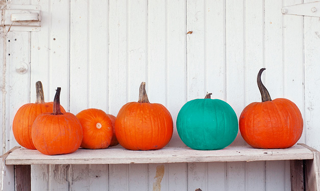 "teal pumpkin project for halloween"