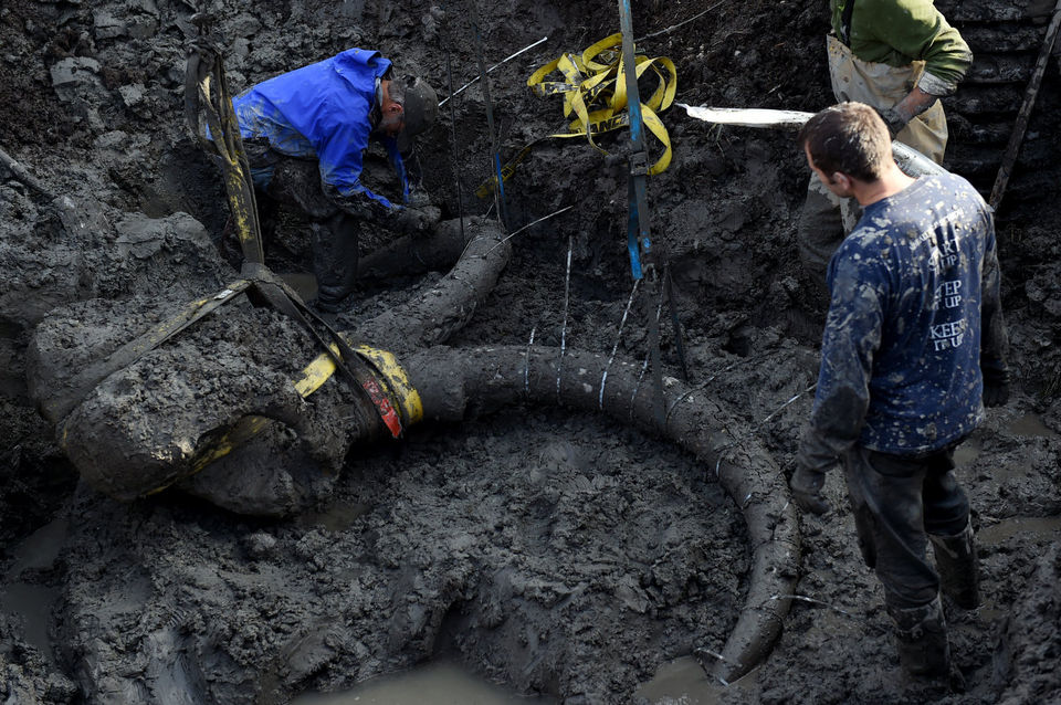 "woolly mammoth remains found in lima township"