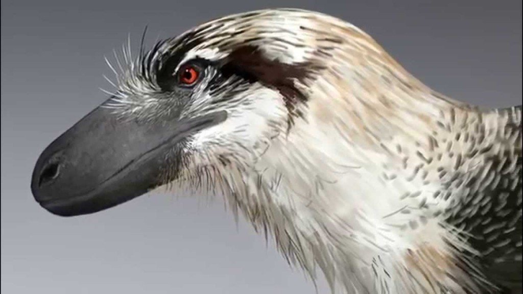 "winged giant raptor in south dakota"