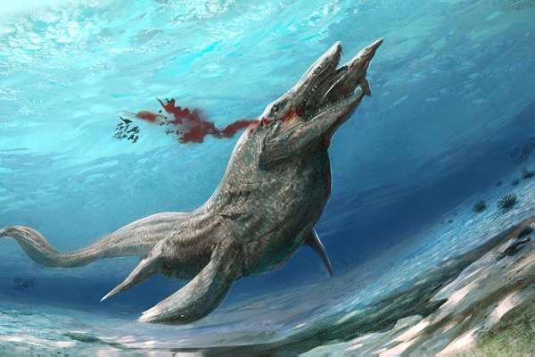 "mass extinctions led to larger marine life disappearing"