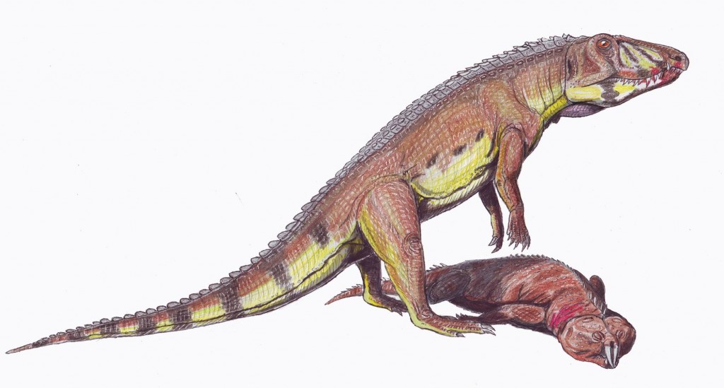 "ornithosuchus"