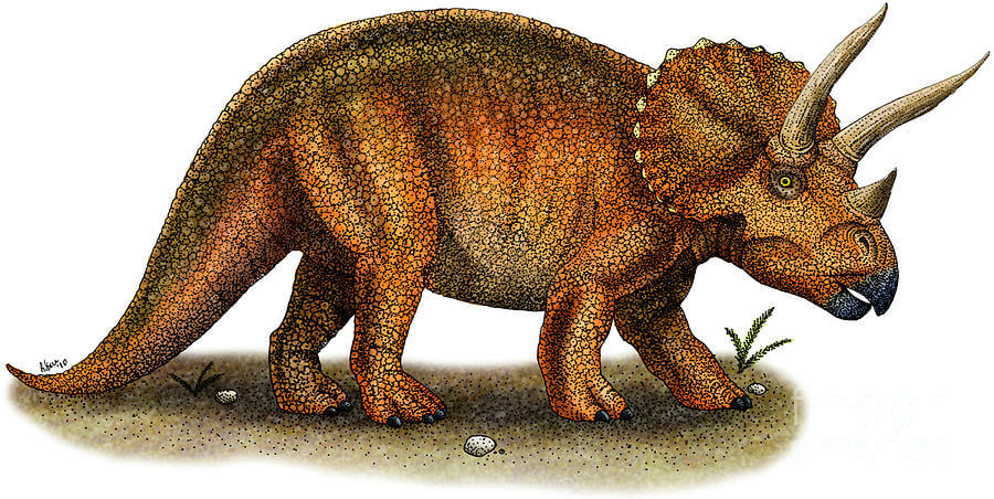 "Triceratops ancestor was hornless"