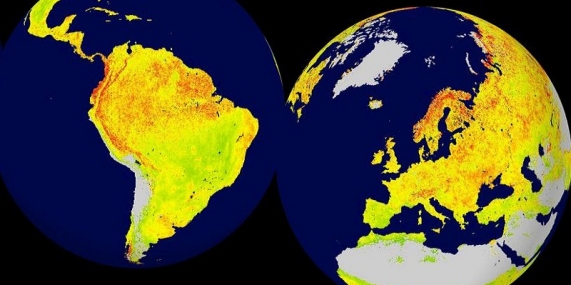 "vegetation sensitivity index"