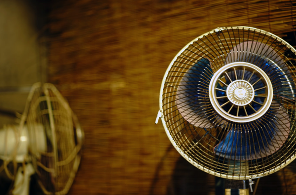 Electric fans should not be used by older people.