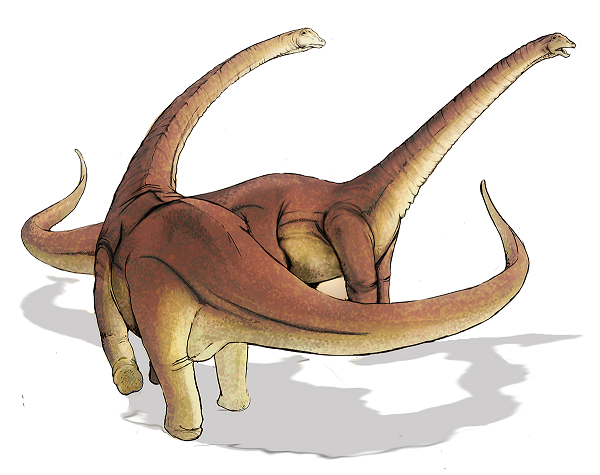 2 long-necked herbivorous dinosaurs