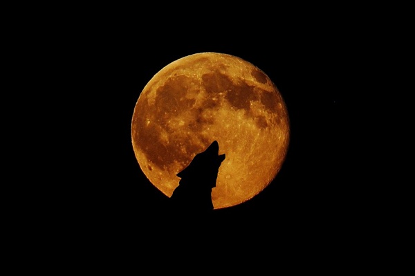 The full wolf moon