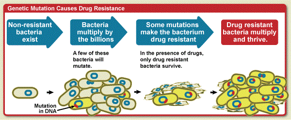 antibiotic-resistant bugs
