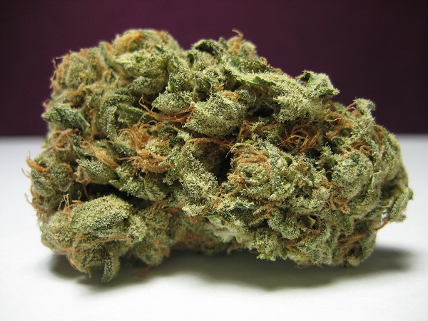 A marijuana bud