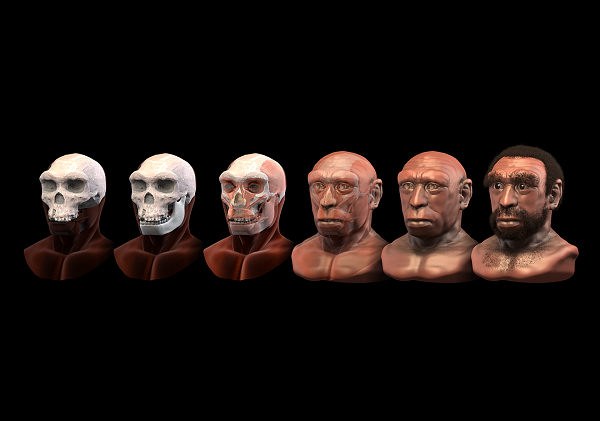 Face reconstruction software