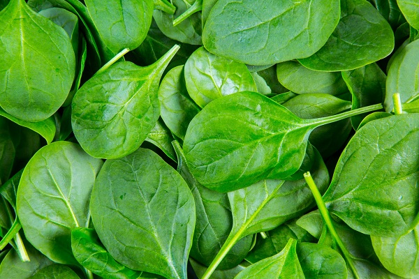 Some spinach leaves
