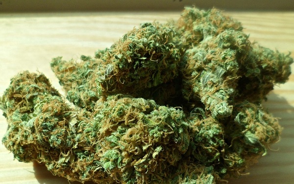 Some marijuana buds