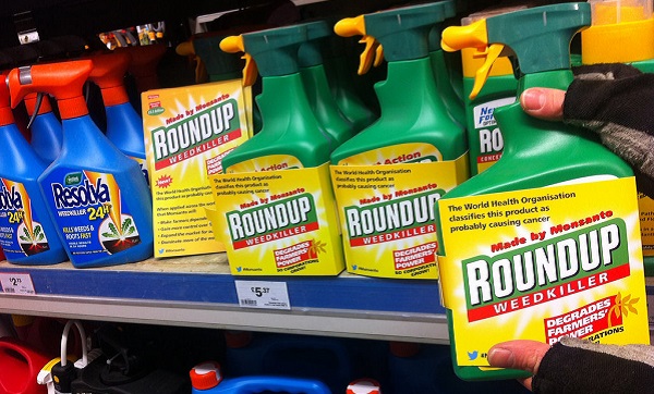 Roundup weed killer