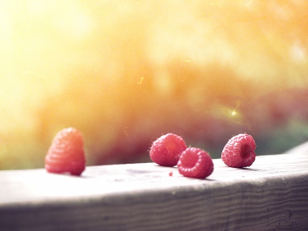 Raspberries in the sun