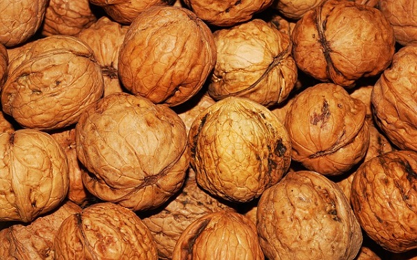 Brown walnuts in shells